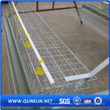 Chicken Cage Low Price for Sale